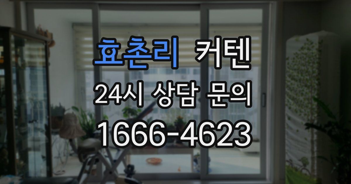 효촌리 커텐