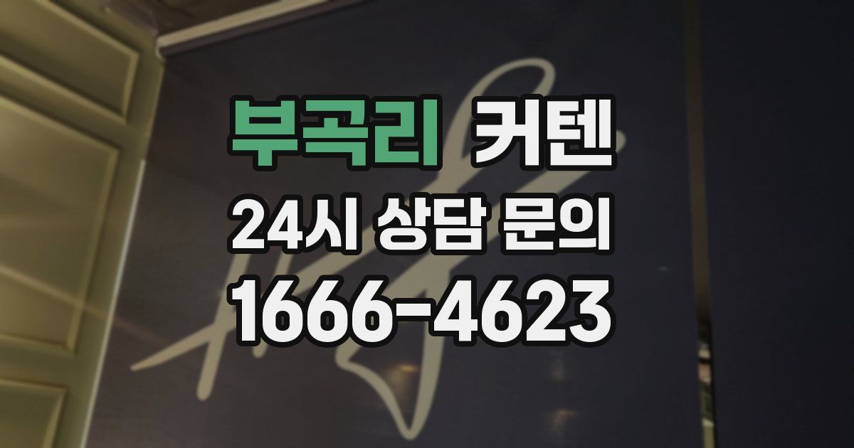 부곡리 커텐