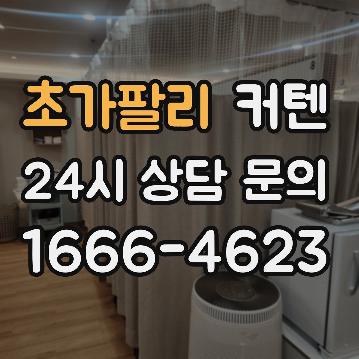 초가팔리 커텐