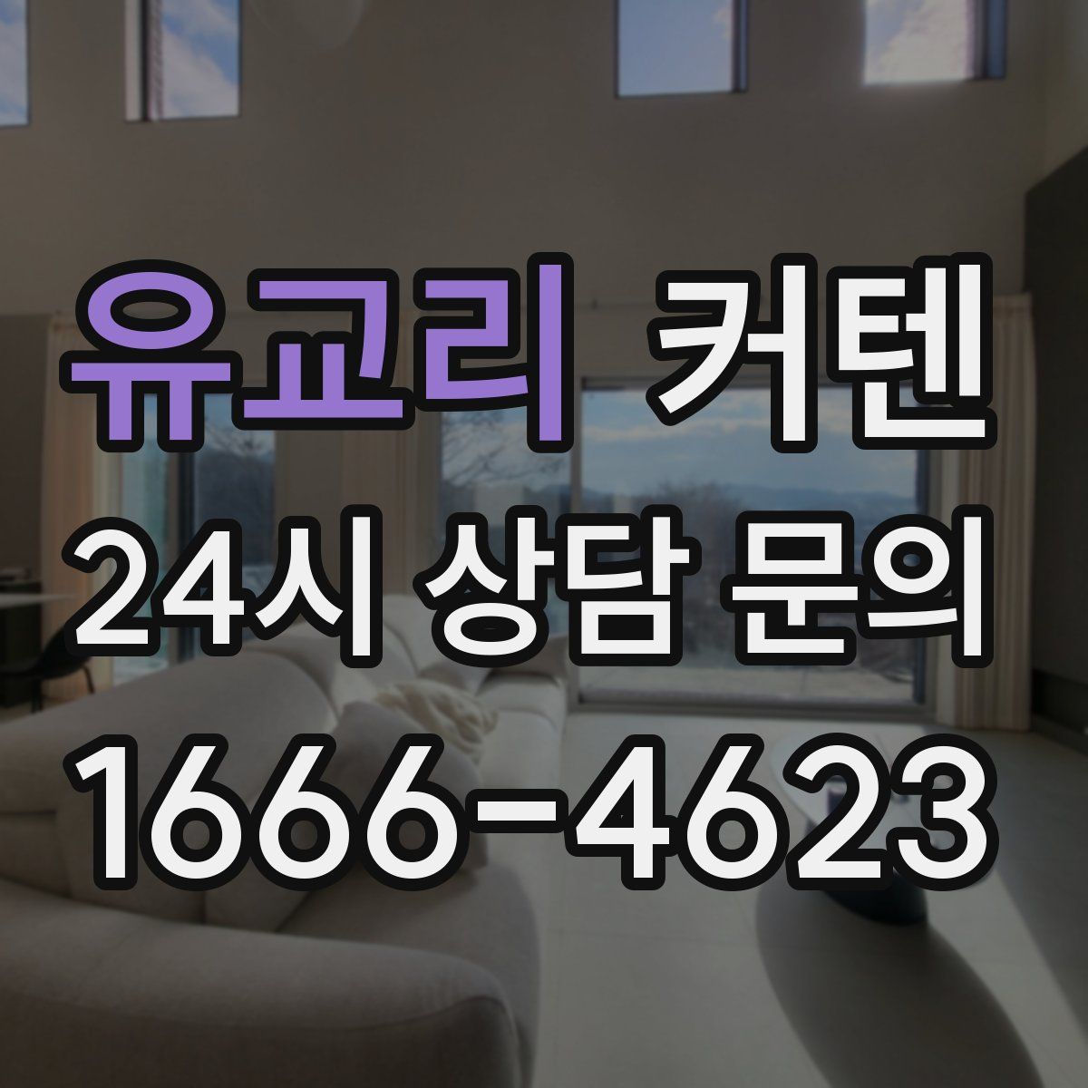 유교리 커텐