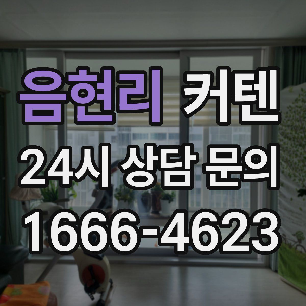 음현리 커텐
