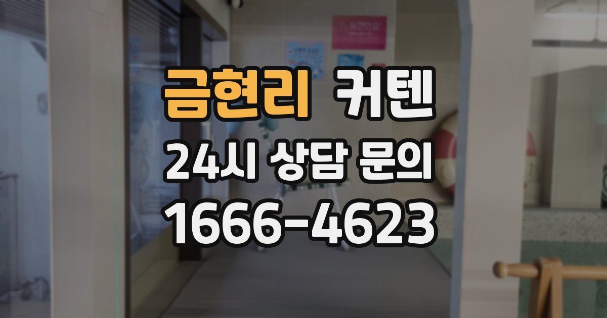 금현리 커텐