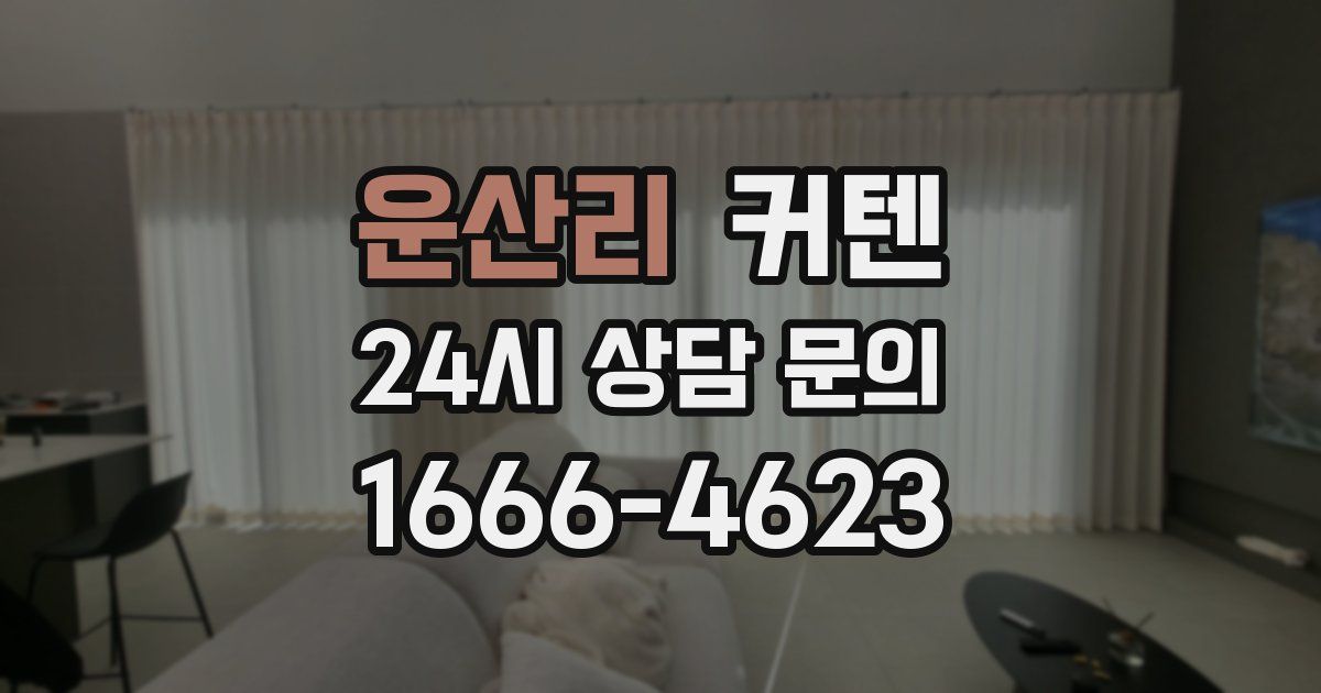 운산리 커텐