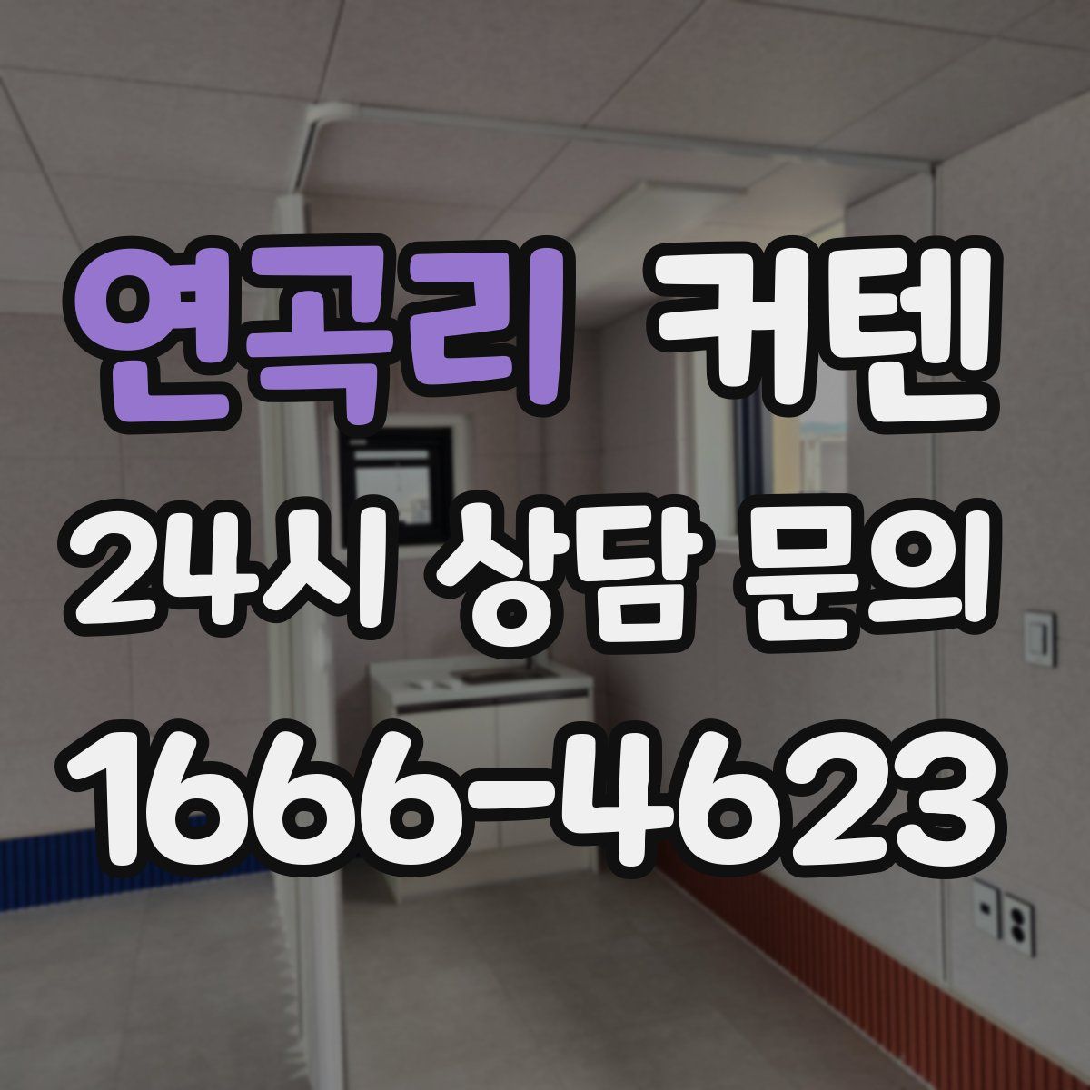 연곡리 커텐