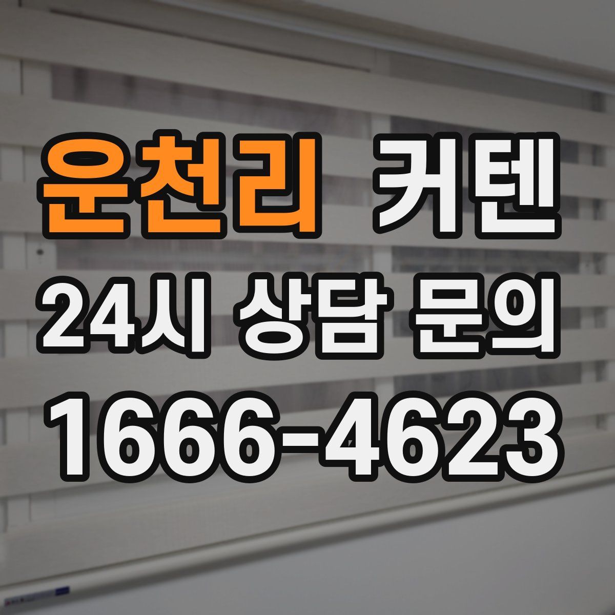 운천리 커텐