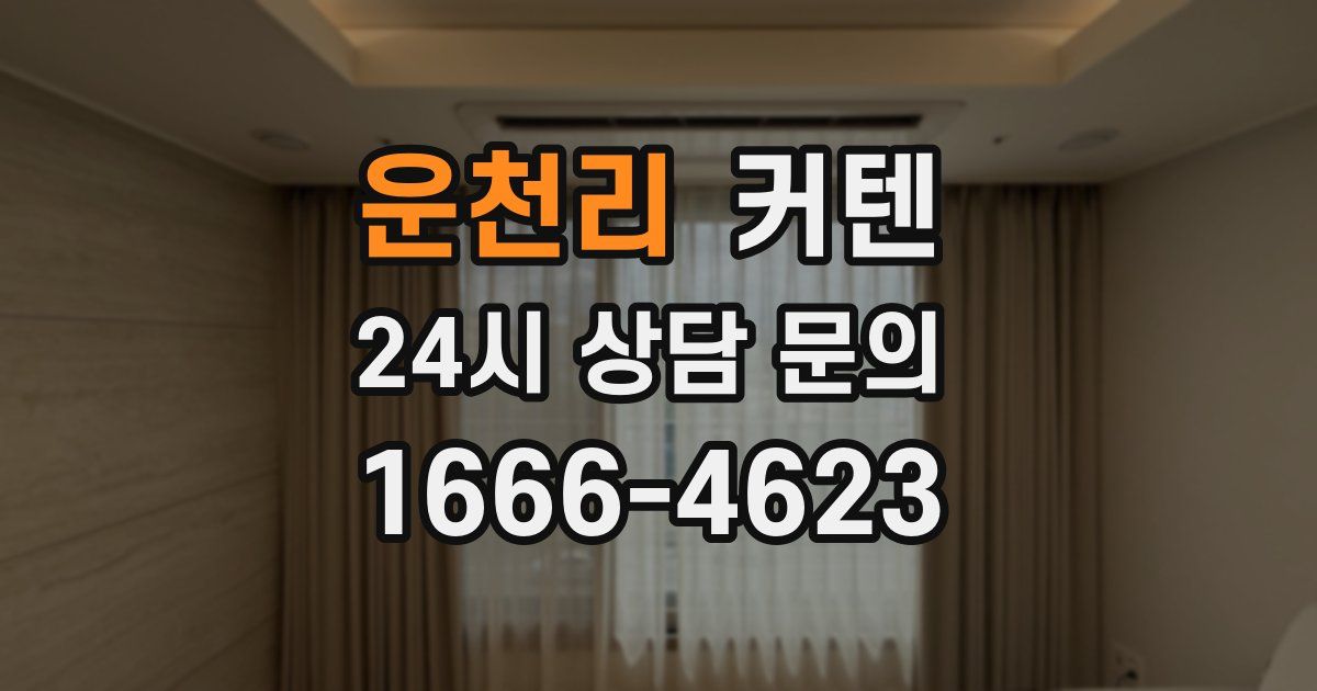 운천리 커텐