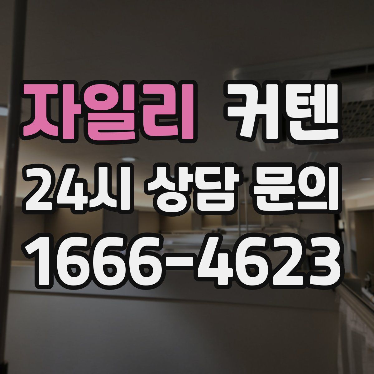 자일리 커텐