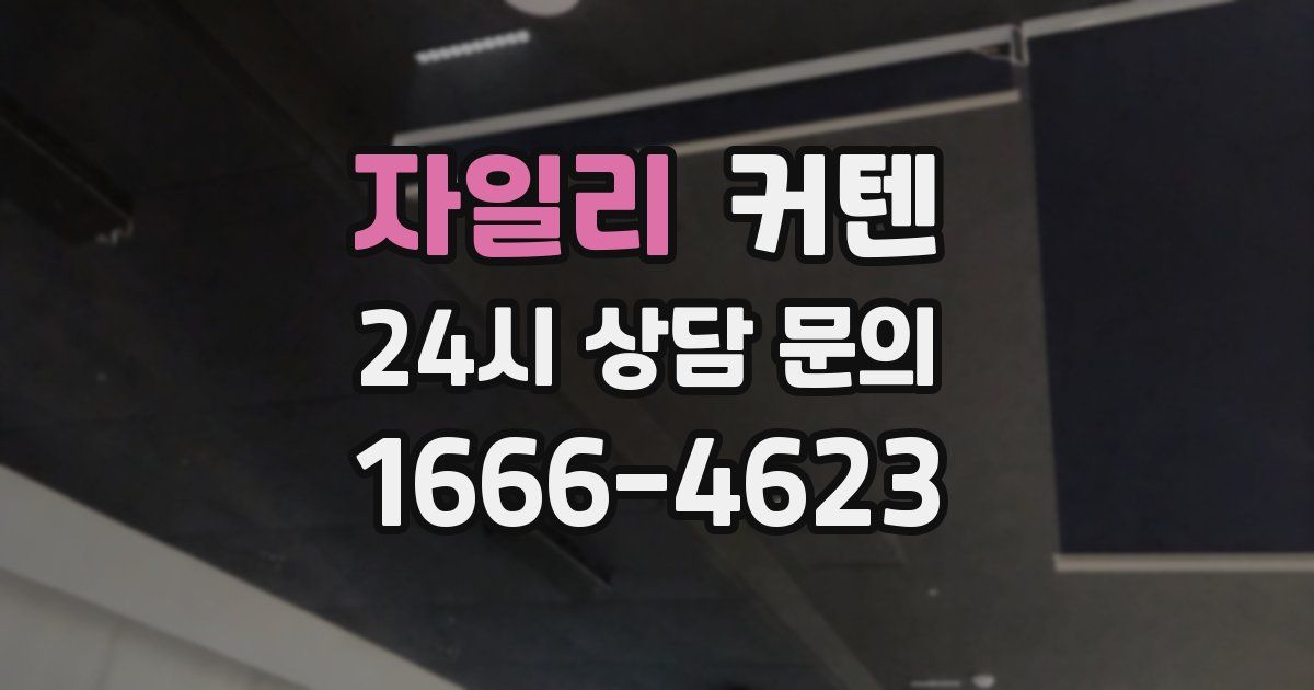 자일리 커텐
