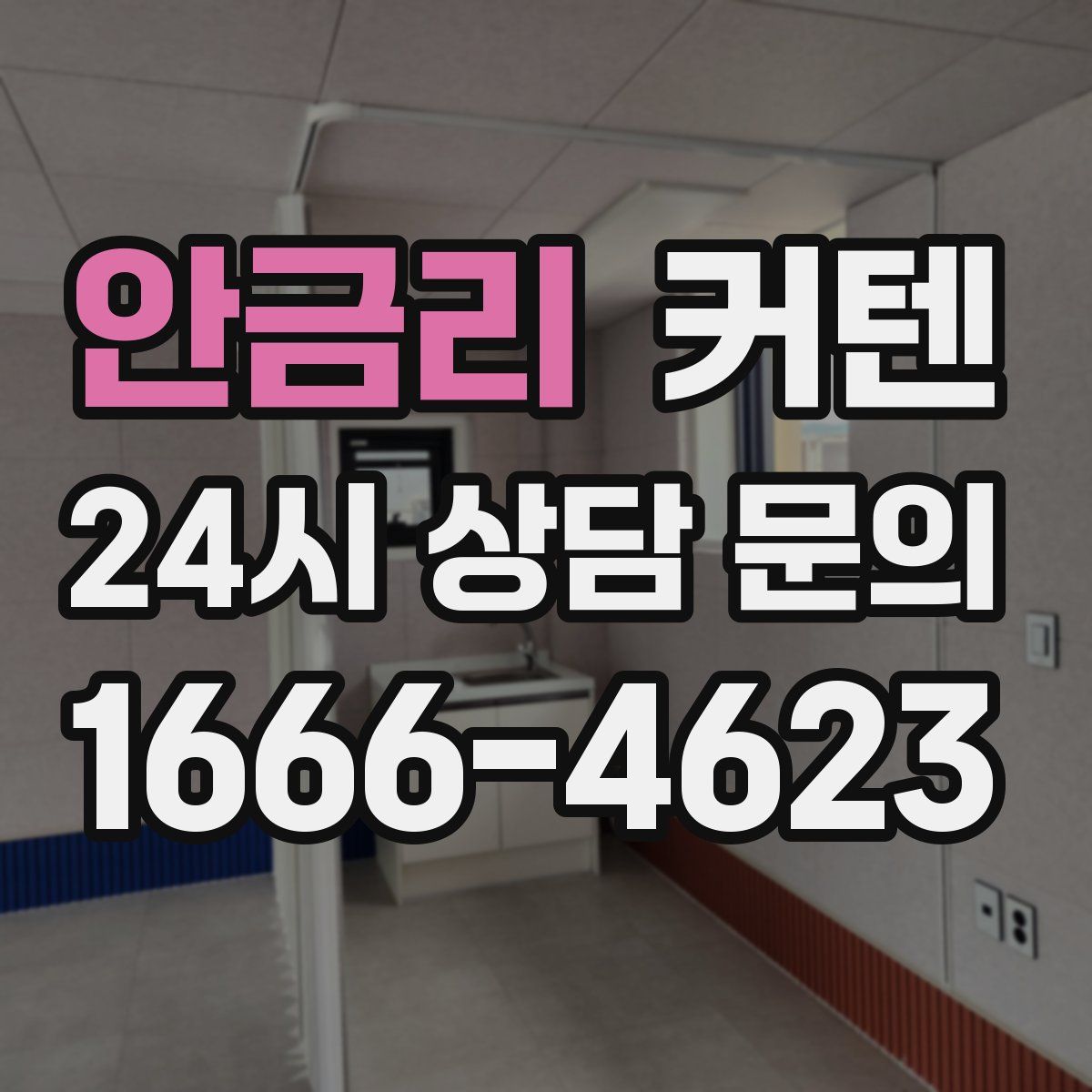 안금리 커텐