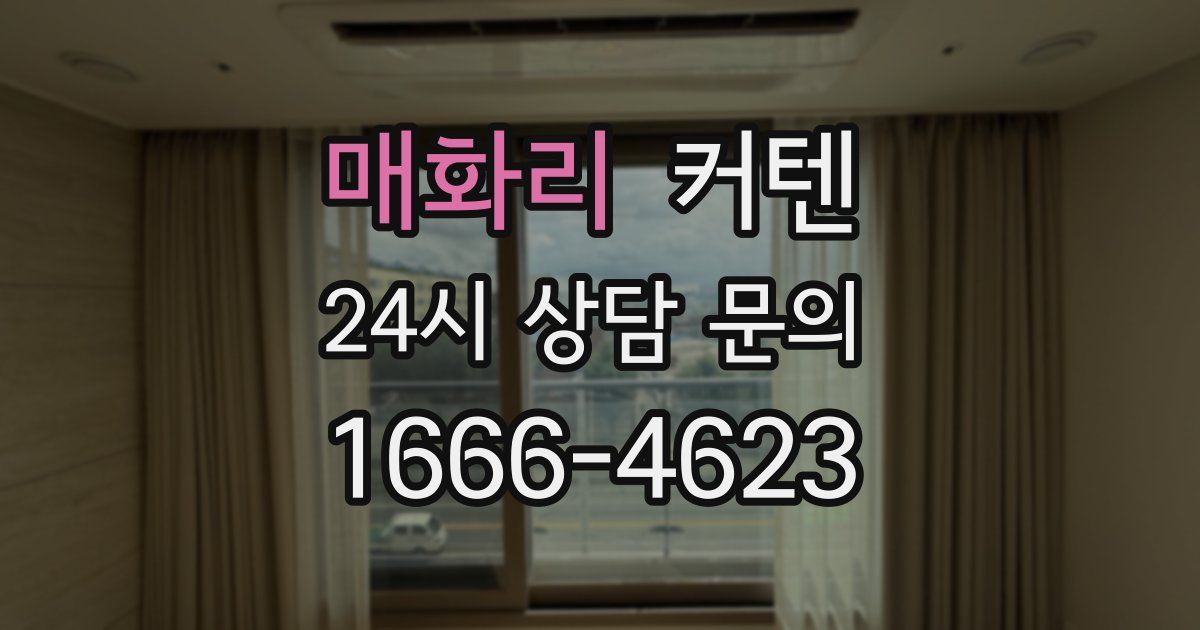 매화리 커텐