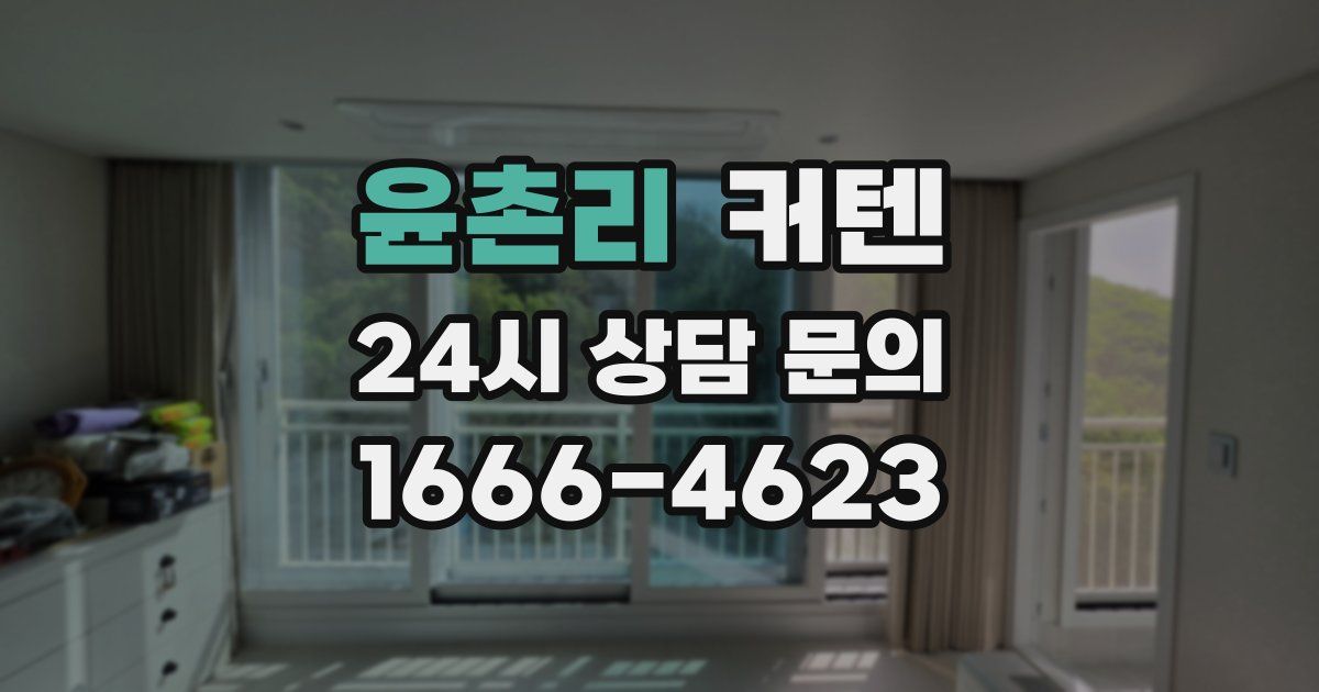 윤촌리 커텐