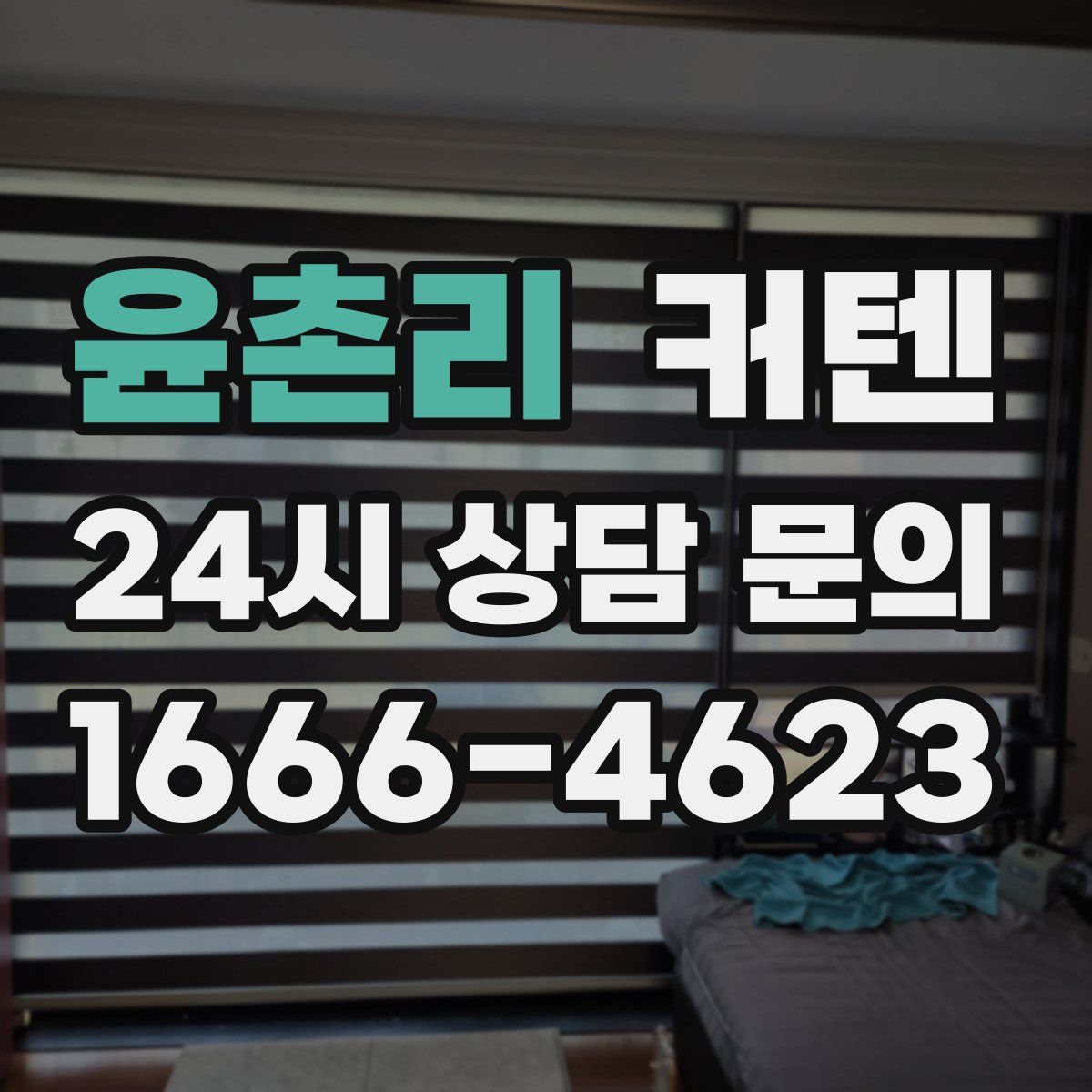 윤촌리 커텐