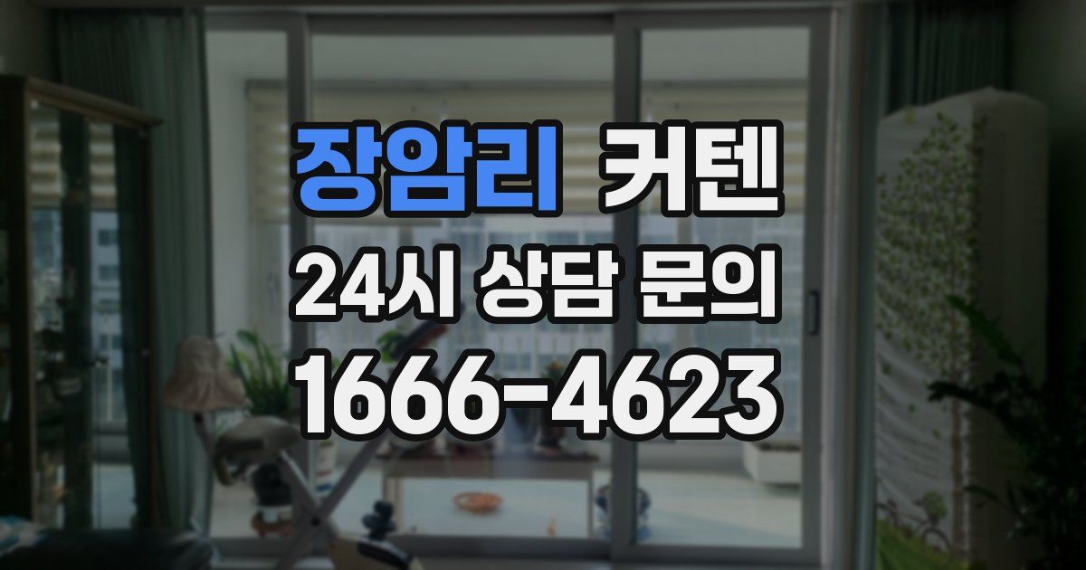 장암리 커텐