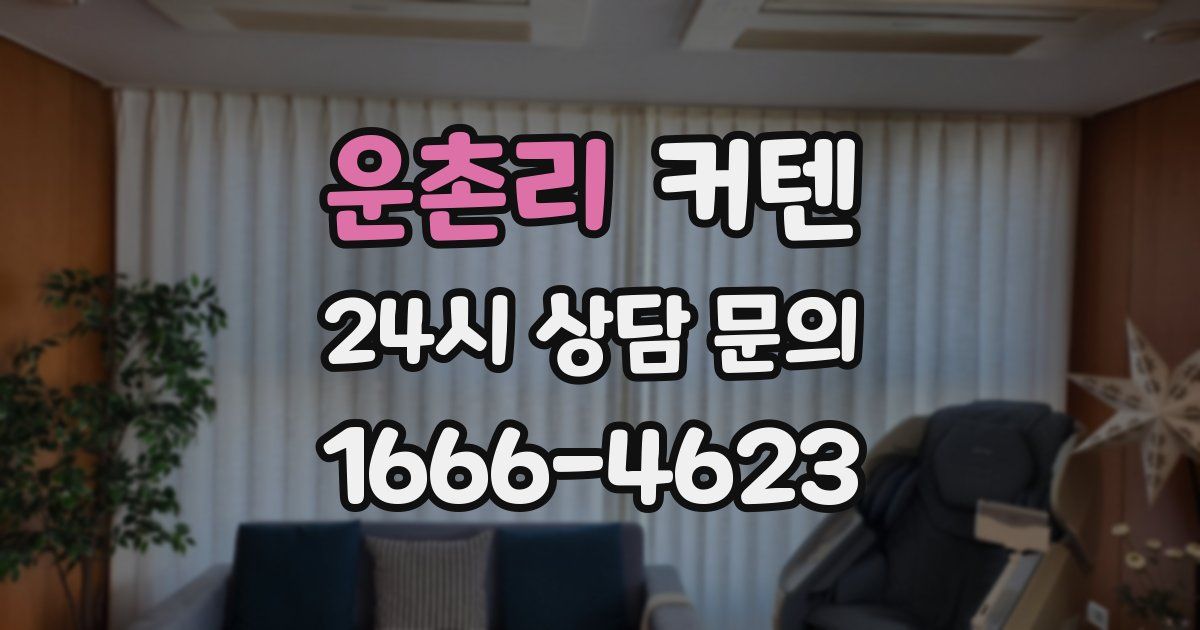 운촌리 커텐