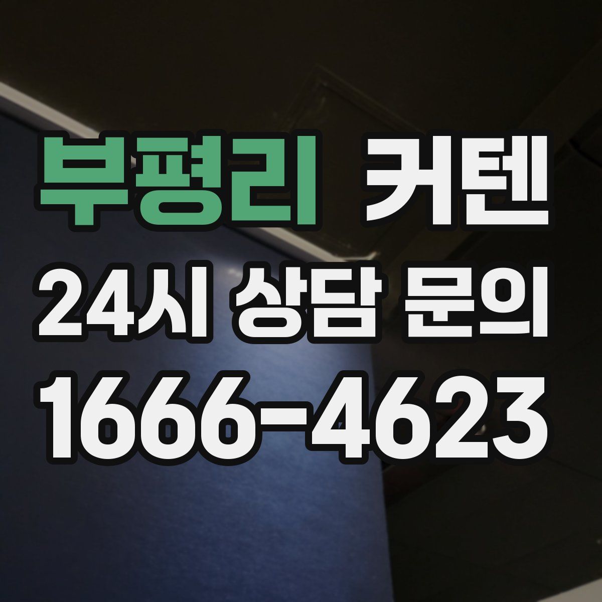 부평리 커텐