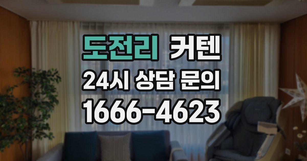 도전리 커텐
