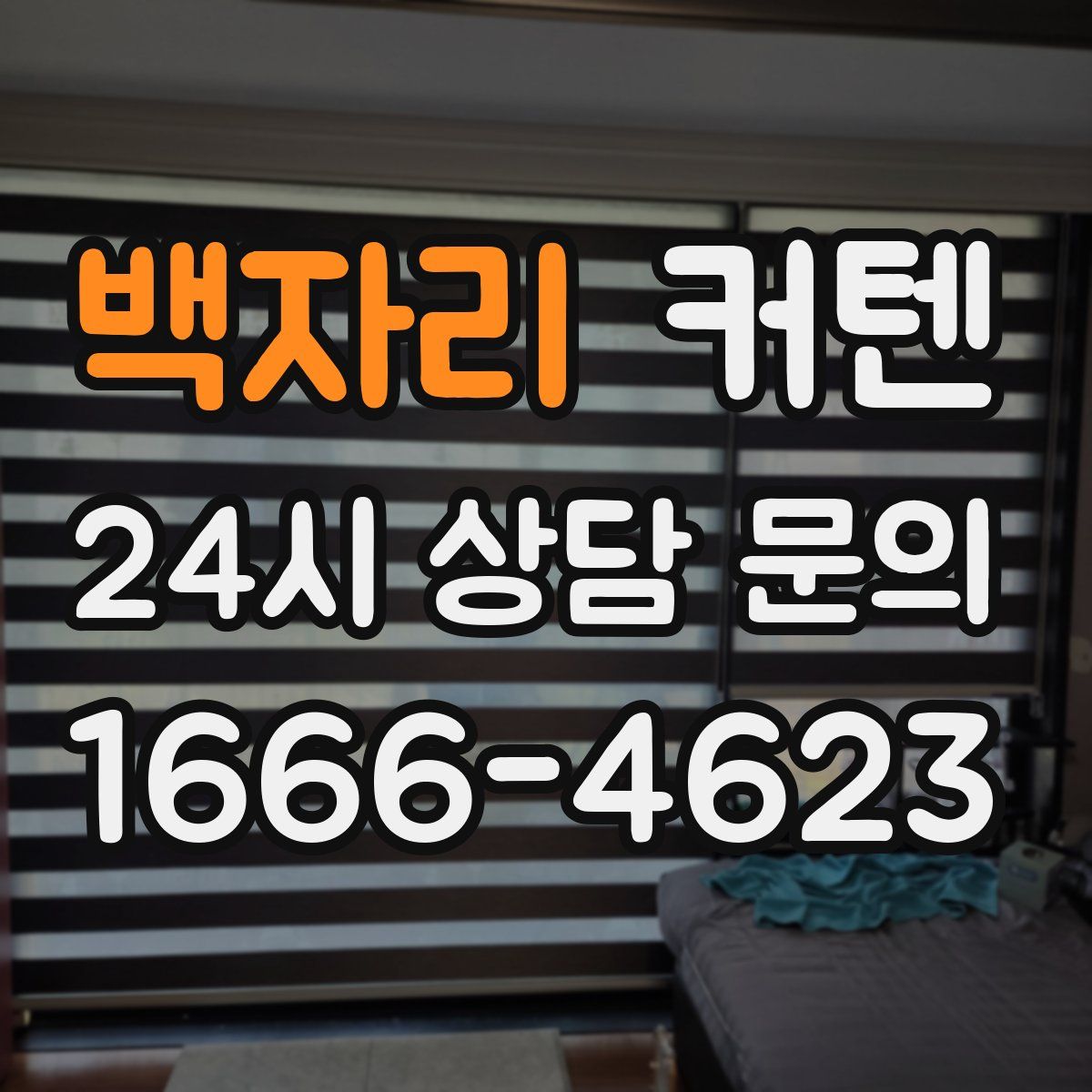 백자리 커텐