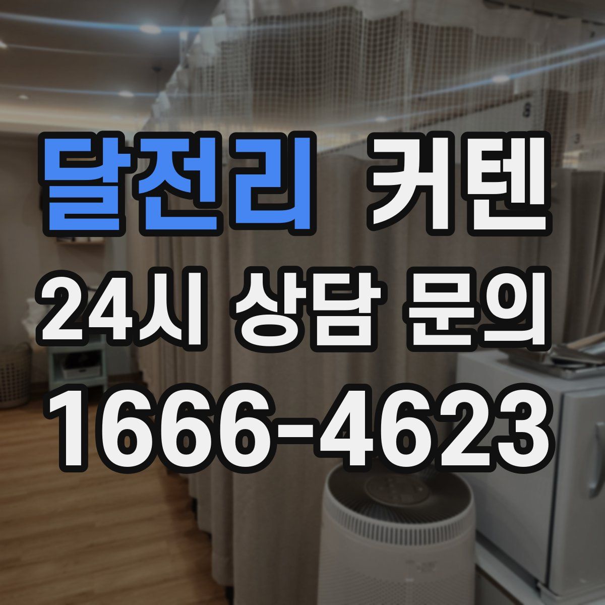 달전리 커텐