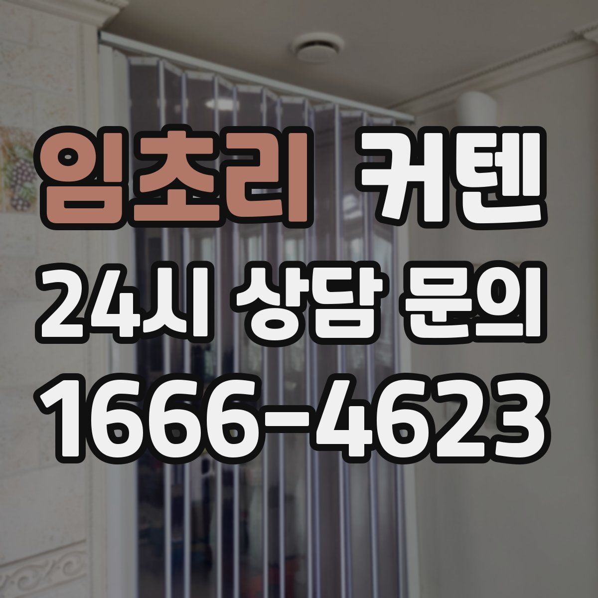 임초리 커텐