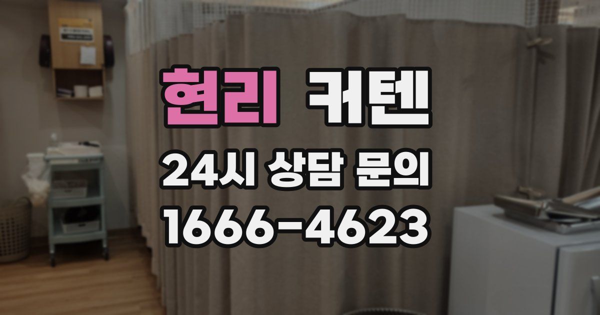 현리 커텐