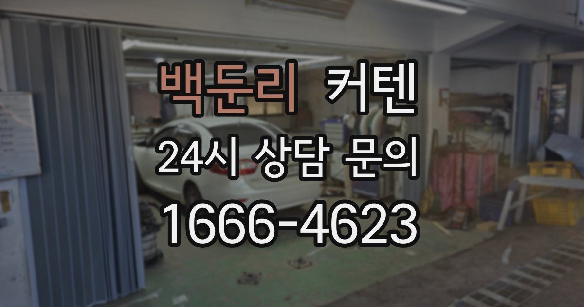 백둔리 커텐