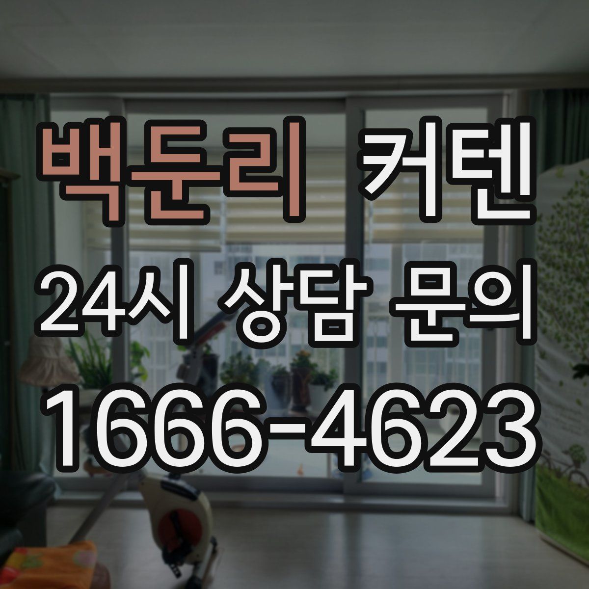 백둔리 커텐
