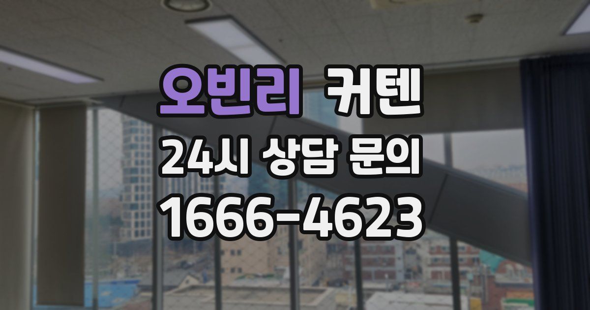 오빈리 커텐