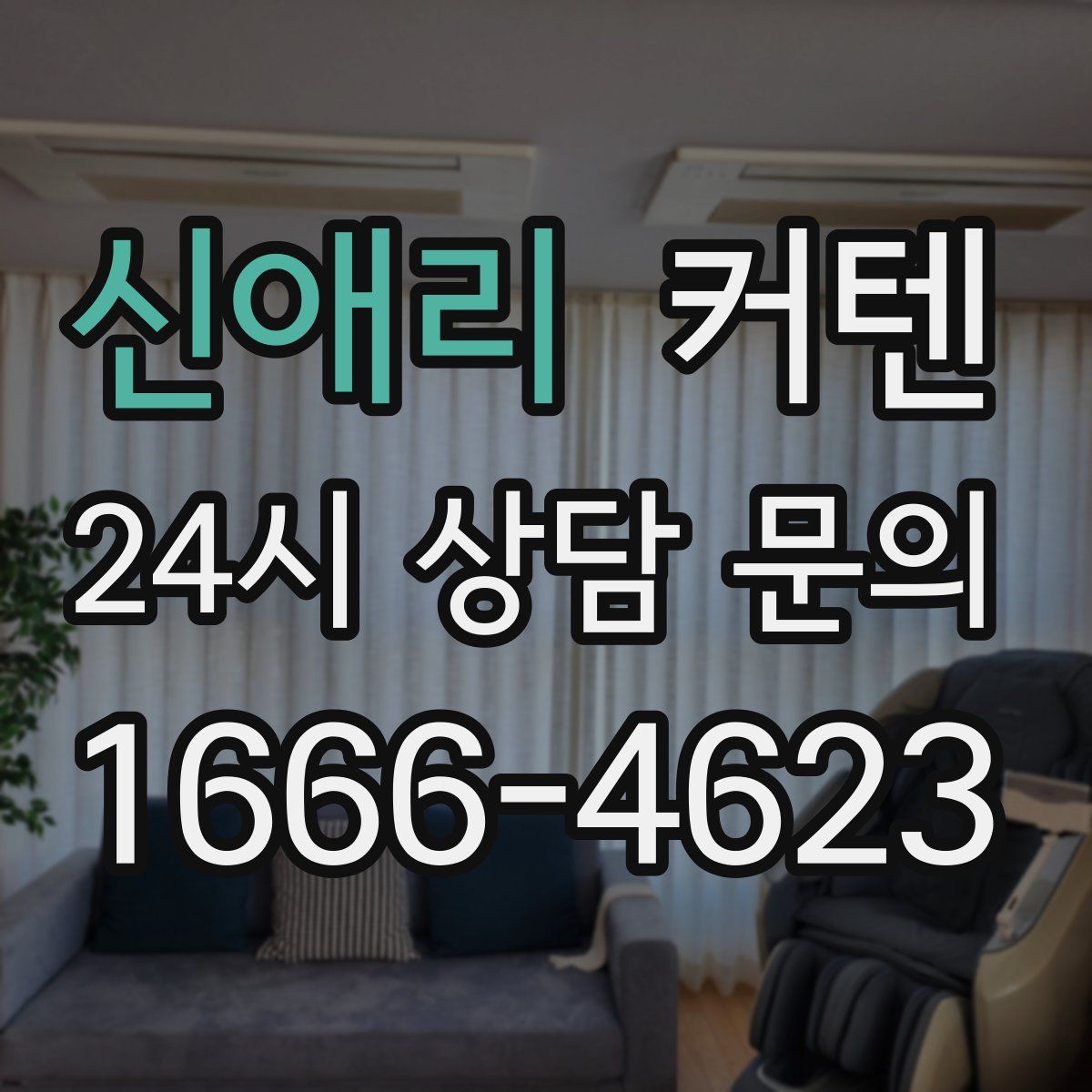 신애리 커텐