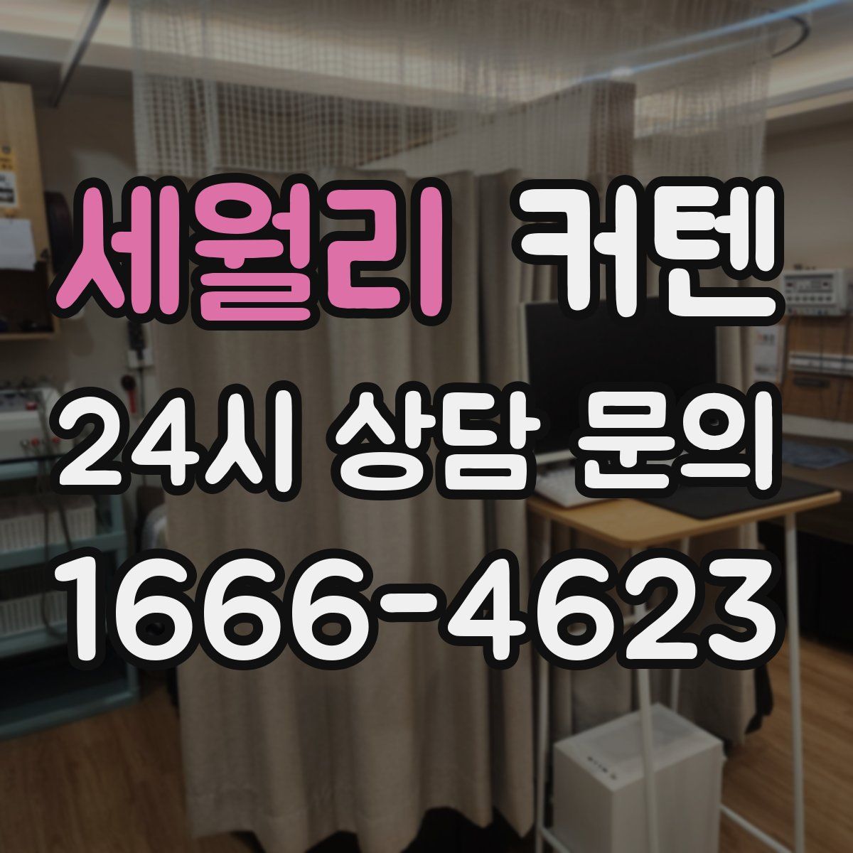세월리 커텐