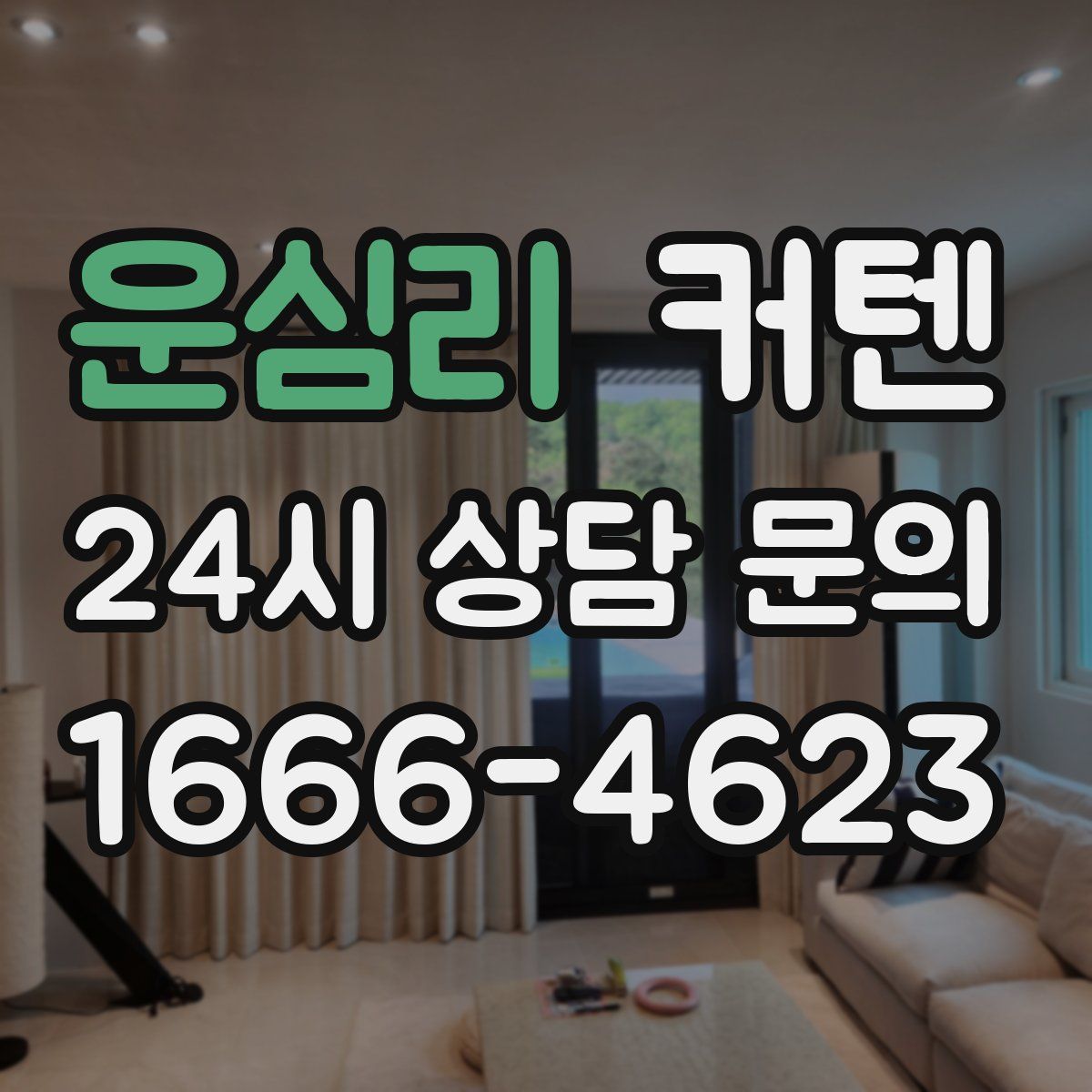 운심리 커텐