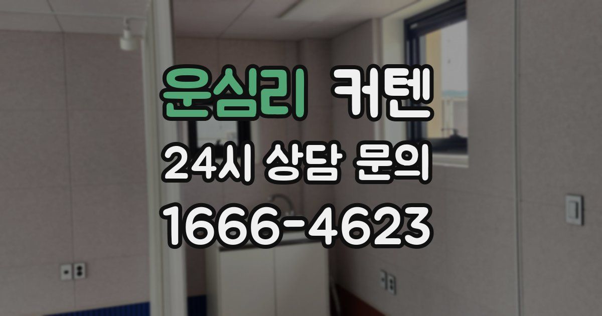 운심리 커텐