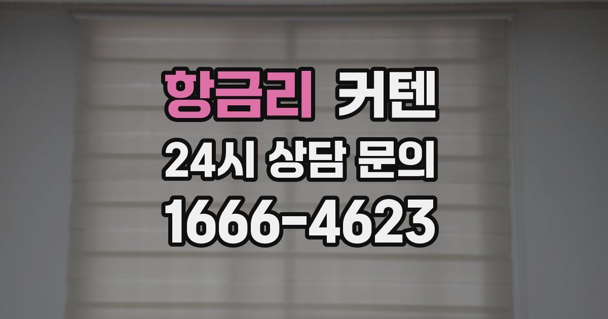항금리 커텐