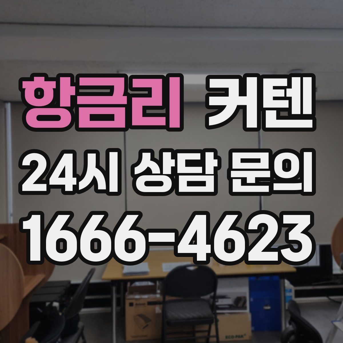 항금리 커텐