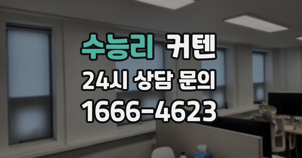 수능리 커텐