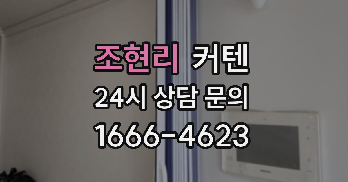 조현리 커텐
