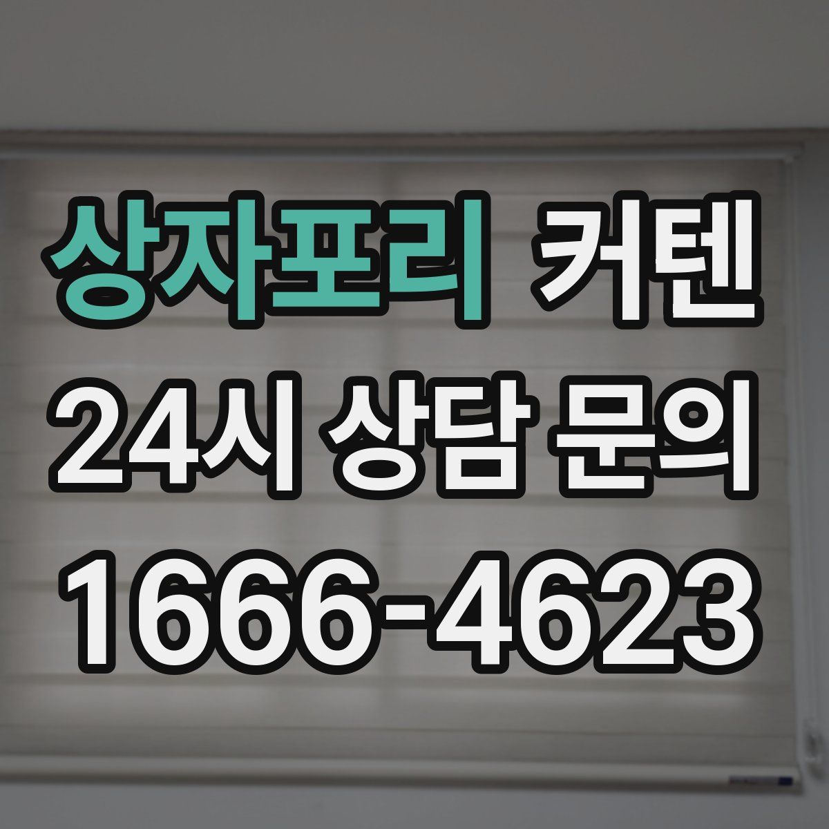 상자포리 커텐
