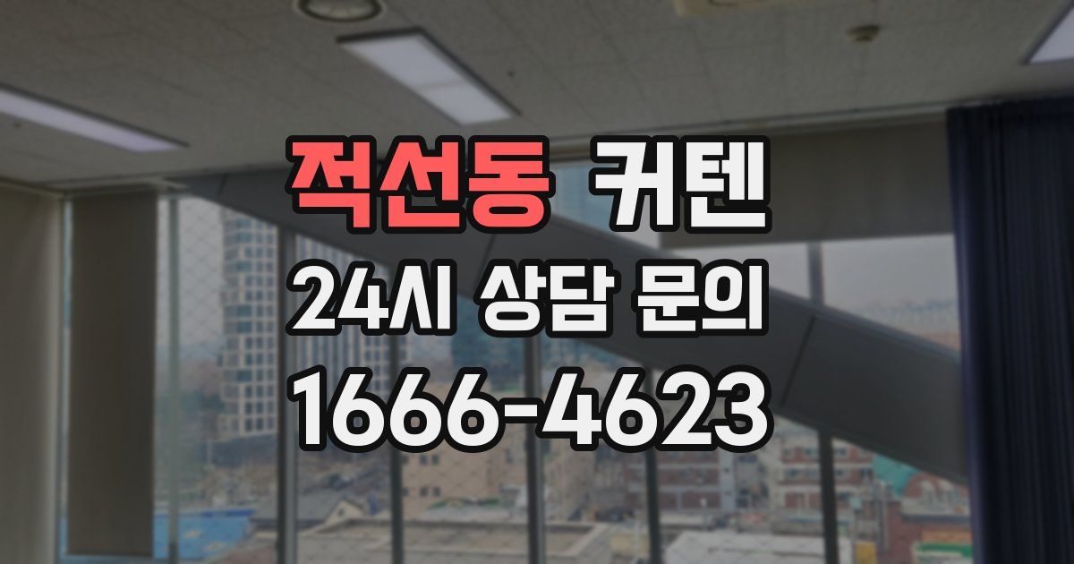 적선동 커텐