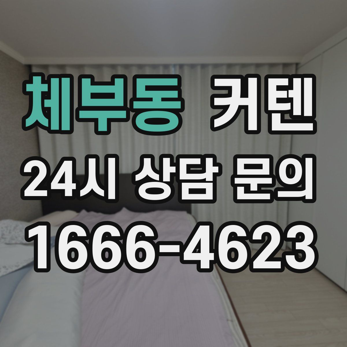 체부동 커텐