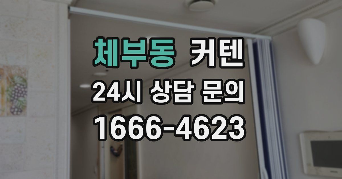 체부동 커텐