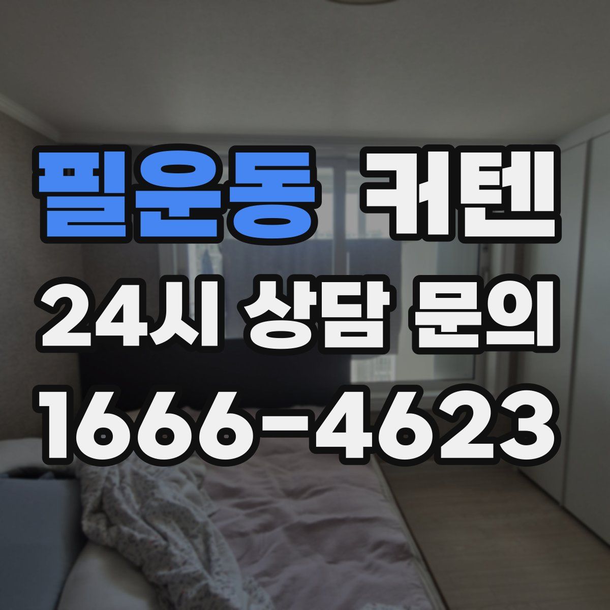필운동 커텐