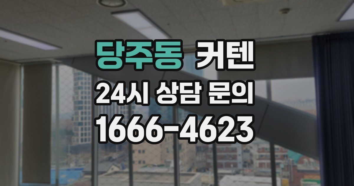 당주동 커텐