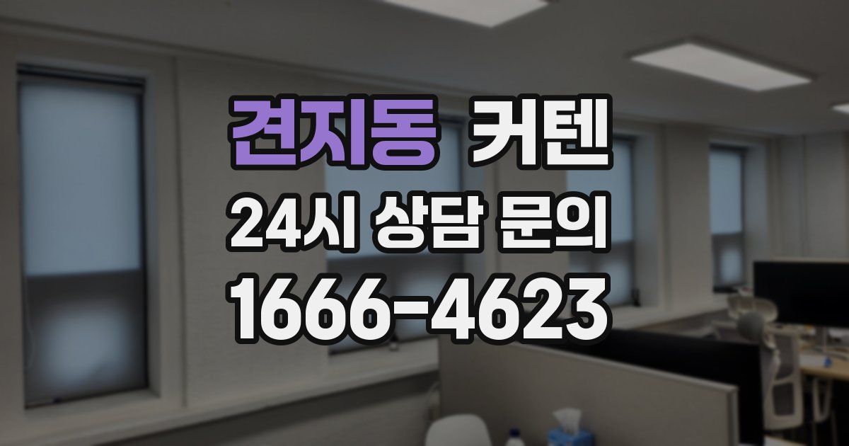 견지동 커텐