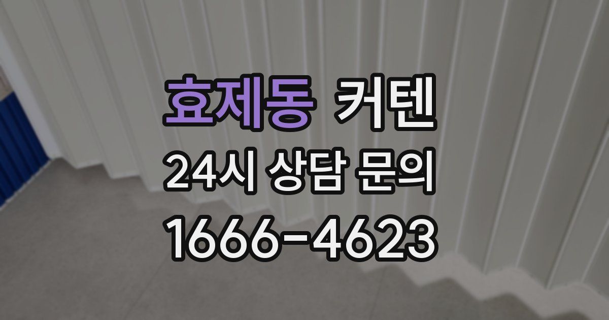 효제동 커텐