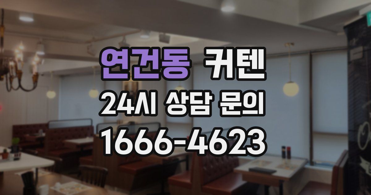 연건동 커텐