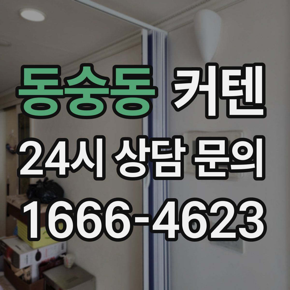 동숭동 커텐
