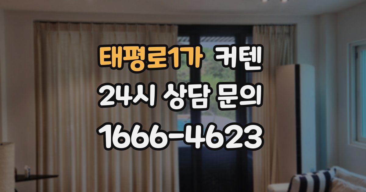 태평로1가 커텐
