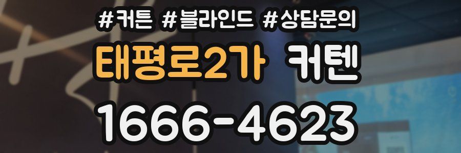 태평로2가 커텐