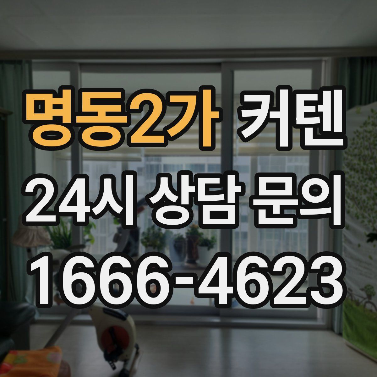 명동2가 커텐