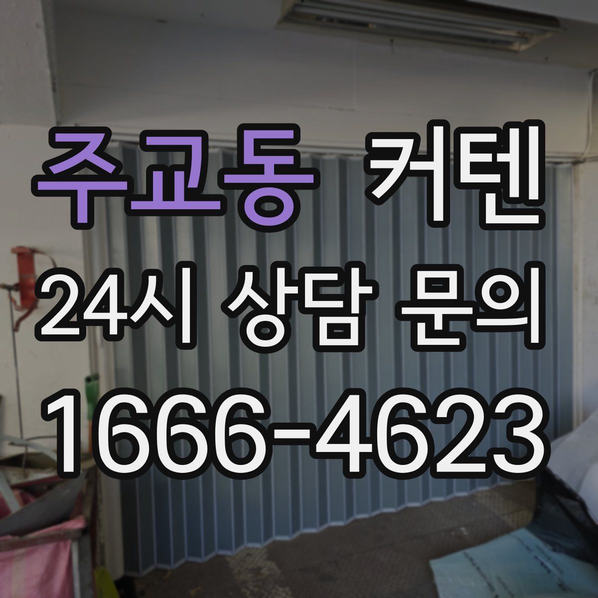 주교동 커텐