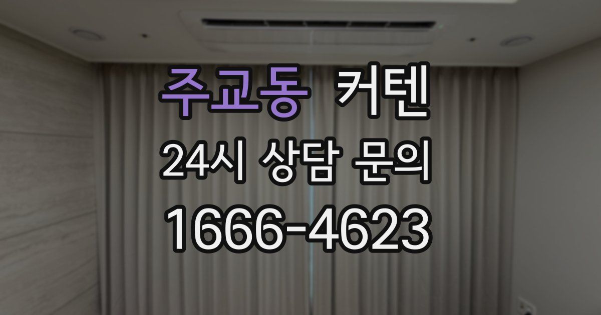 주교동 커텐